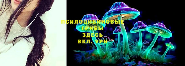дмт Бронницы