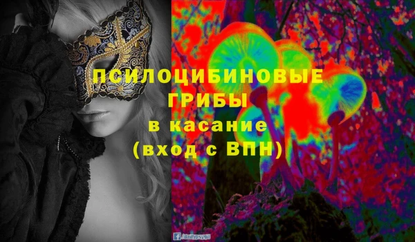 мяу мяу мука Бородино