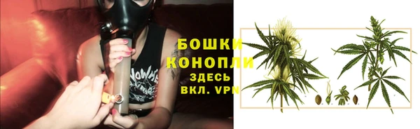 мяу мяу мука Бугульма