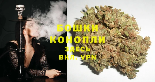 мяу мяу мука Бородино