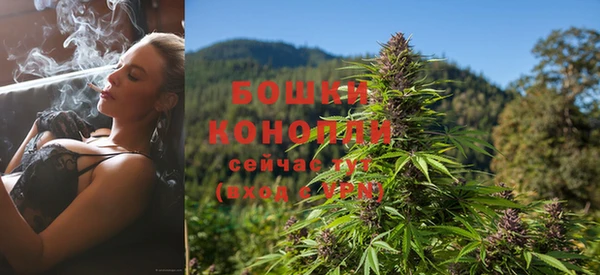 дмт Бронницы