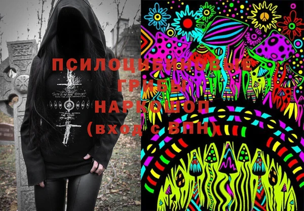 дмт Бронницы