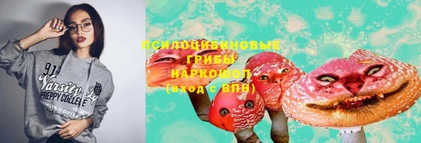 мяу мяу мука Бородино
