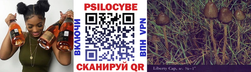 Купить где  Первоуральск  Псилоцибиновые грибы прущие грибы 